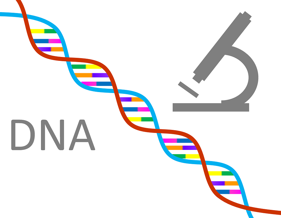 The Difference Between Molecular Biology, Biochemistry and Genetics