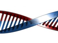 Planta App: A Key Tool  in the Study of Plant Genetics