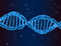 Creating Awareness of DNA And Genetics