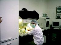 The Importance of DNA and Genetics in Human Life